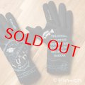 Genovesa-Fin-ch-Glove (ヘノベサフィンチグローブ) Type Evolve 花浅葱色（はなあさぎ）