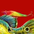 画像2: PL110 SPLASH  color code [Fin-ch] (2)