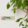 画像2: 夢見るパネル (2)